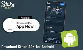 Stake.com Evaluation - India's Finest Crypto-focused Betting Site